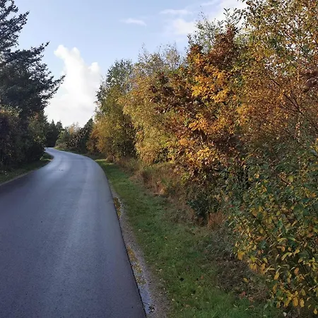 Feriehus 6 Person In Henne-by Traum