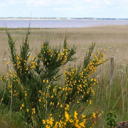 Feriehus 6 Person In Henne-by Traum Henne Strand